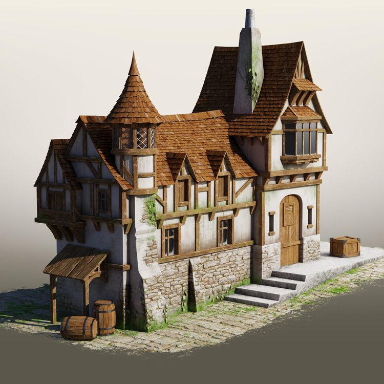 Animum 3D School - House