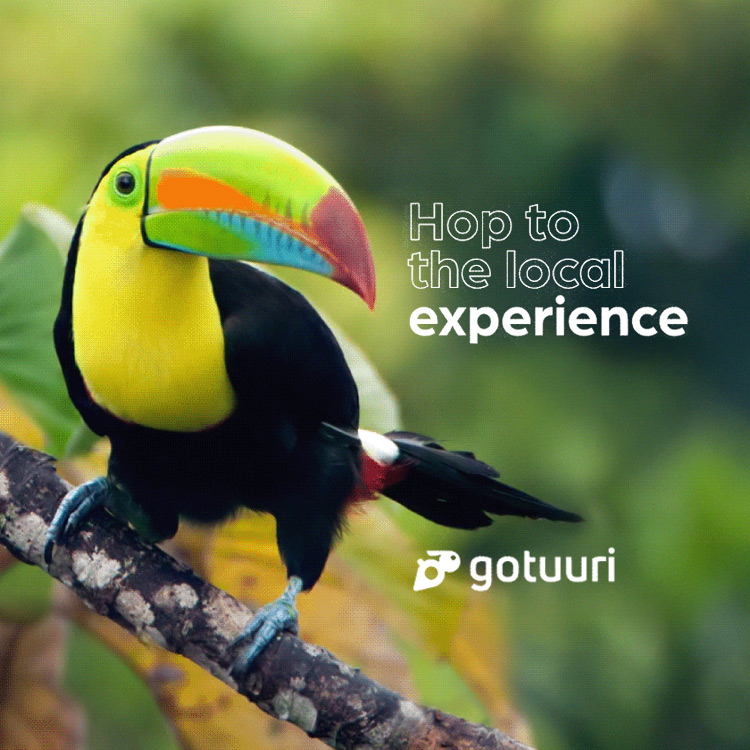 Gotuuri - Branding