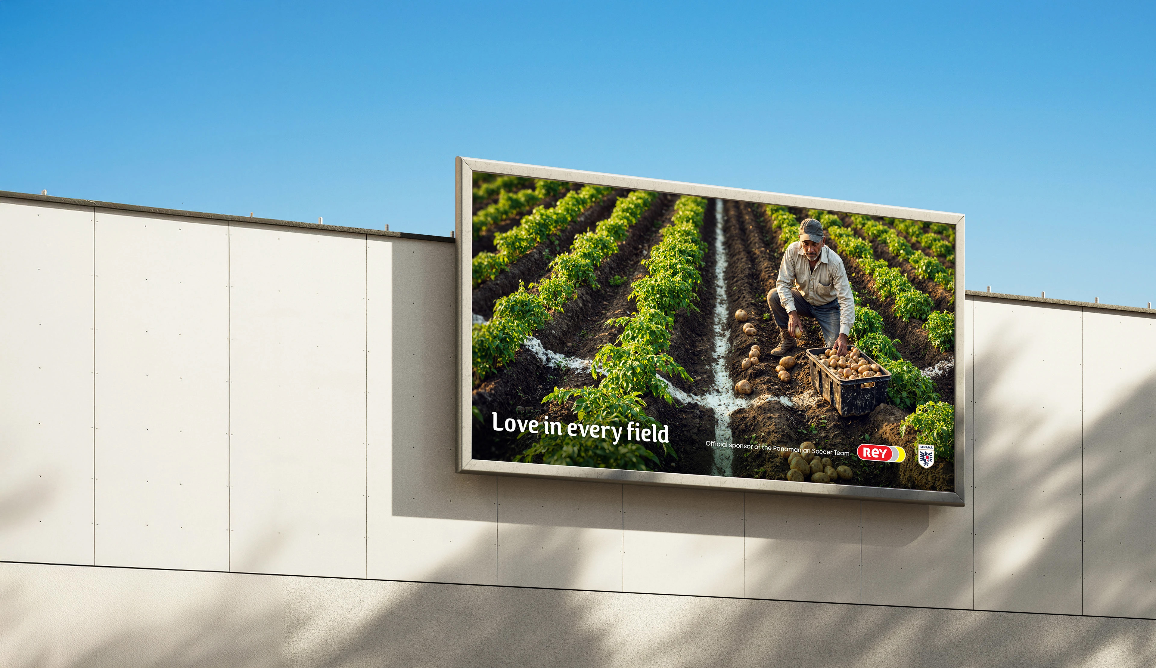 Rey - Love in every field — imagen 4