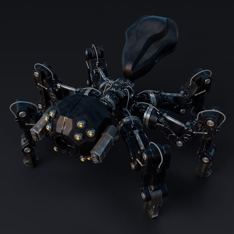 Robotic Spider